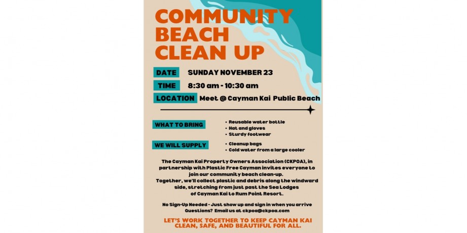 Beach Clean-up Day